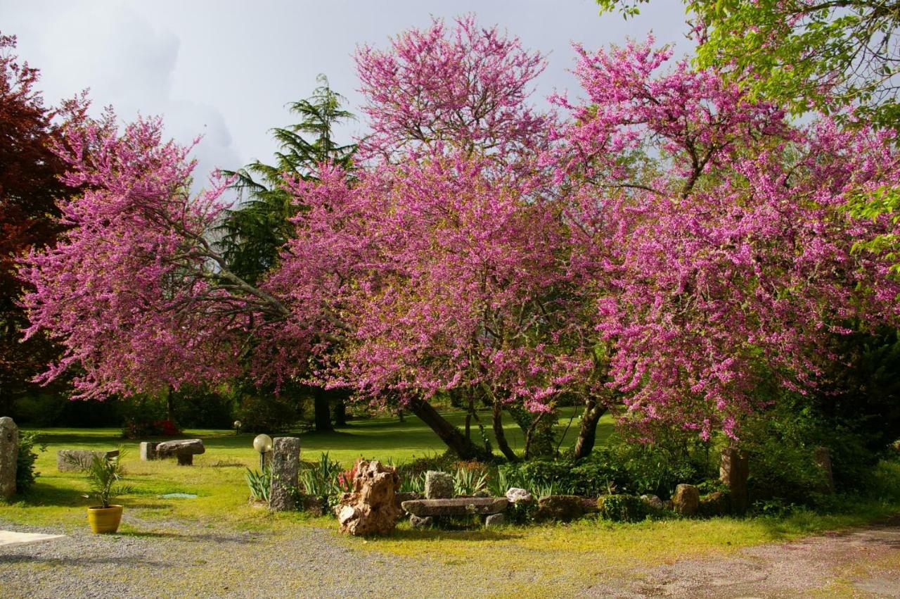Domaine Les Grandes Roches Acomodação com café da manhã Trégunc Exterior foto