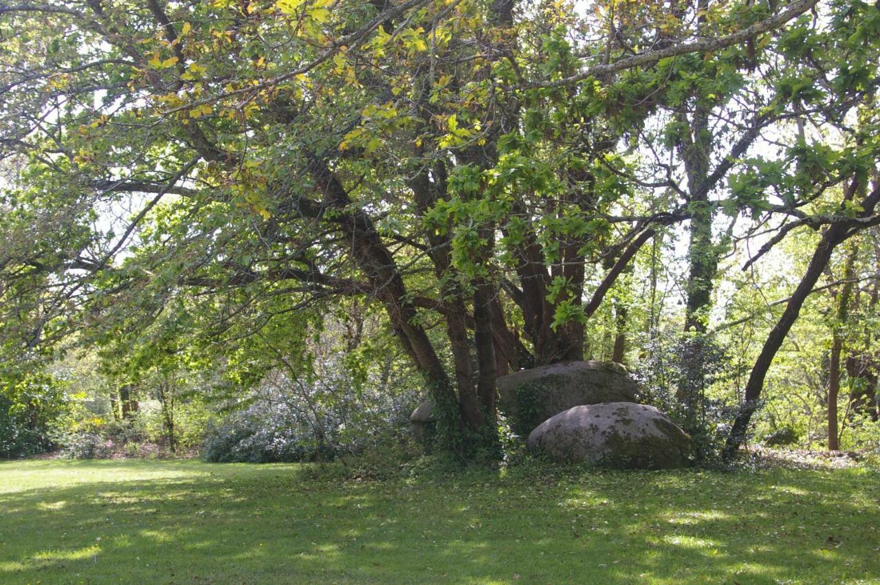 Domaine Les Grandes Roches Acomodação com café da manhã Trégunc Exterior foto